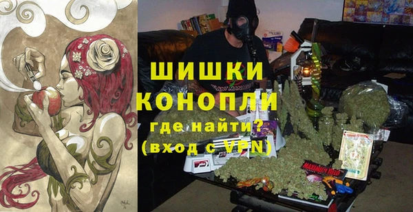 трава Медвежьегорск