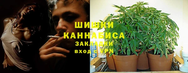 трава Медвежьегорск