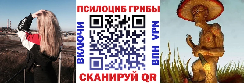 MEGA ссылки  Починок  Галлюциногенные грибы мухоморы 